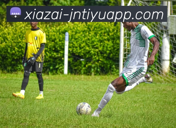 江南体育平台生态图